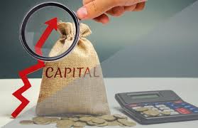 Business growth and investment